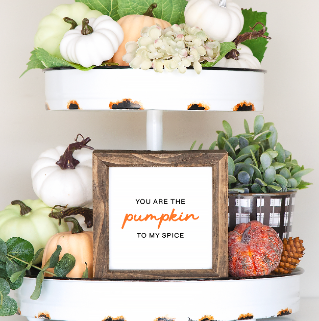 Give Thanks Tray Signs